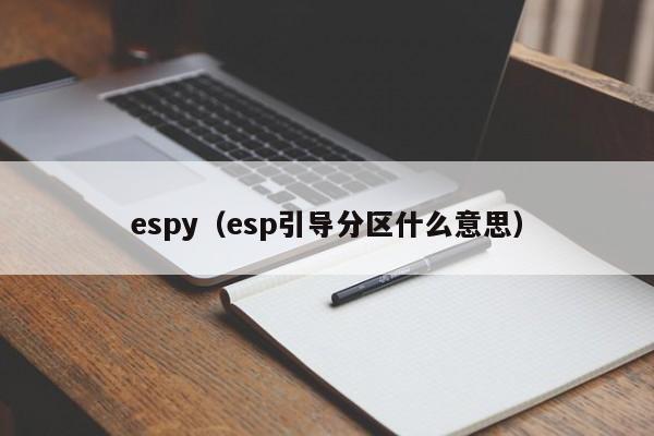espy（esp引导分区什么意思）